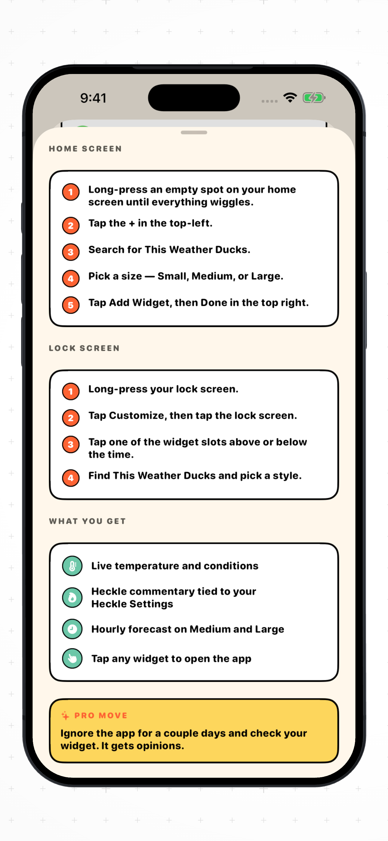 Widget setup instructions inside This Weather Ducks.